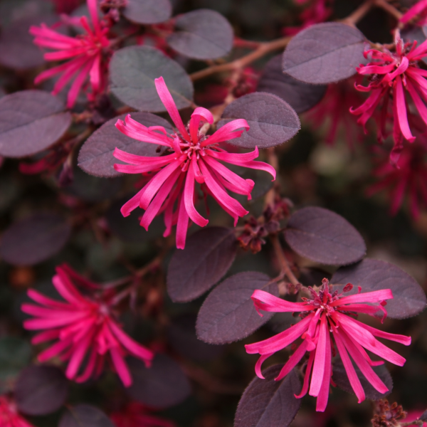 ChatGPT Image 2026. márc. 13. 08_41_18