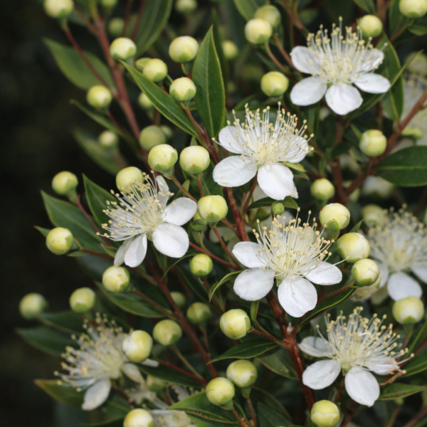 ChatGPT Image 2026. márc. 13. 08_43_49