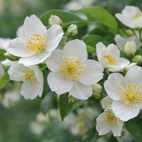 ChatGPT Image 2026. márc. 13. 09_07_19