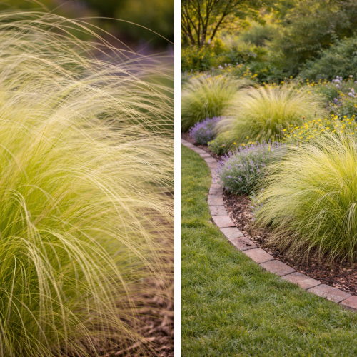 c52404c2-1b53-4435-90cf-f0bb4bbbd094